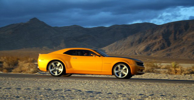 Bumblebee.jpg