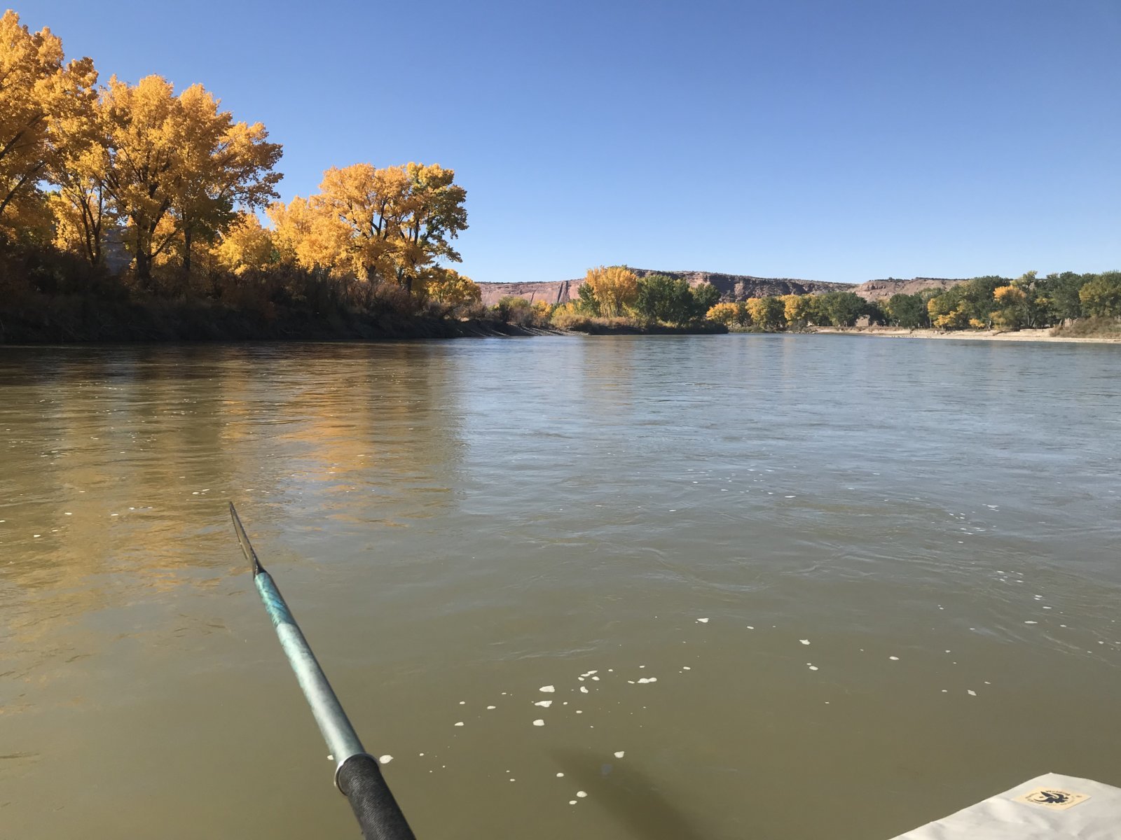 C0D6280E-407C-4837-9D61-A391594FBCD3.jpg