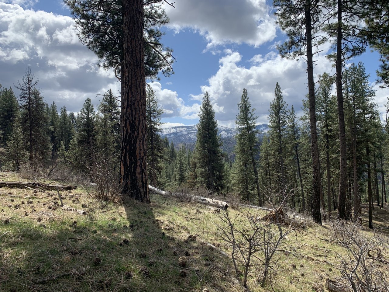 C27E1A9A-9ED4-4FD5-985B-45B4E48B2320.jpg