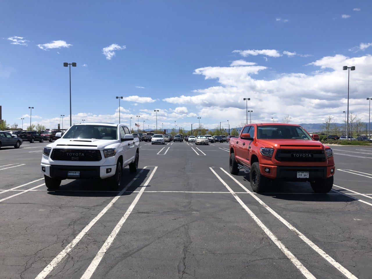 C373F8B3-3360-40C8-9559-3E5FD8BB1A30.jpg