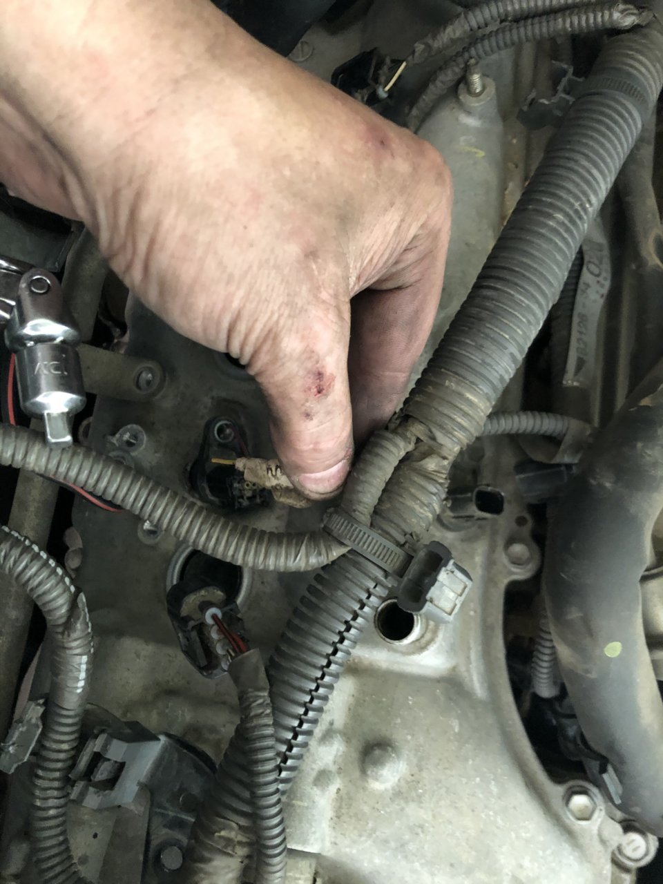 Need Help Please with wire harness | Toyota Tundra Forum