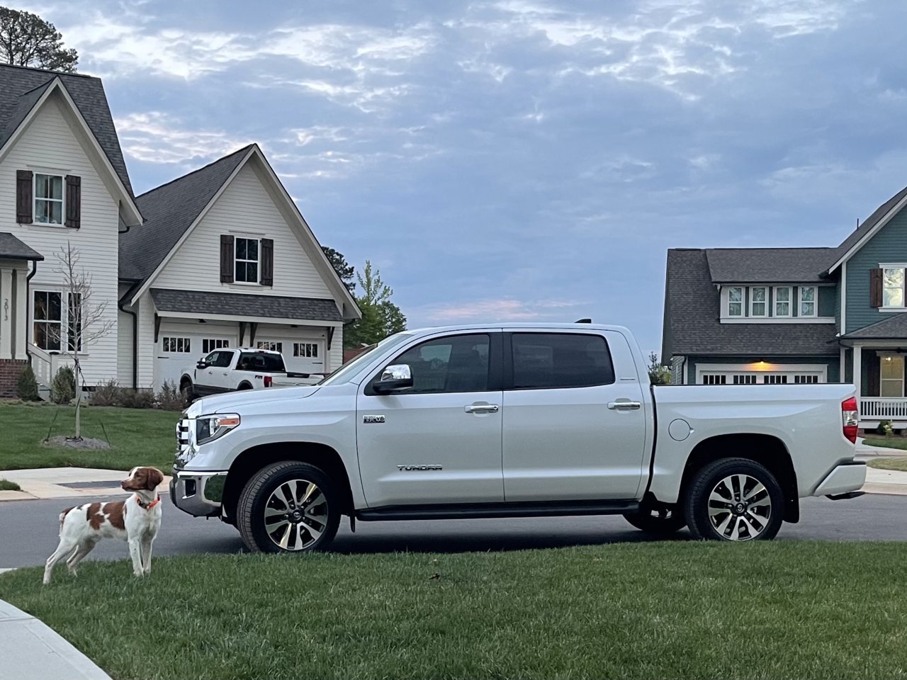 C7D50AC6-390C-46EB-A6FD-023C7837DB37.jpg