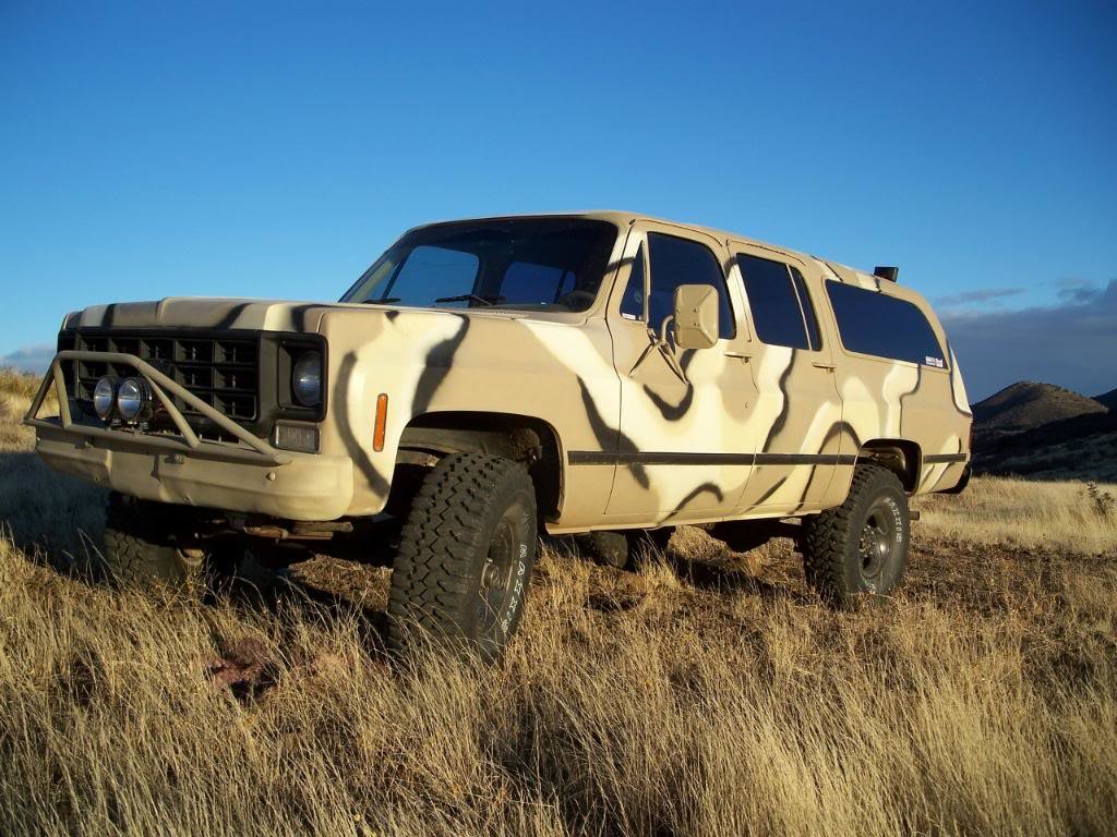 camosub1.jpg