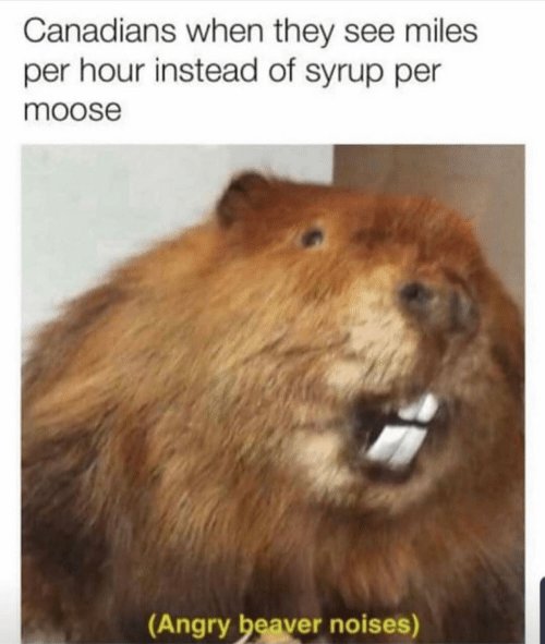 canadians-when-they-see-miles-per-hour-instead-of-syrup-58030423.png