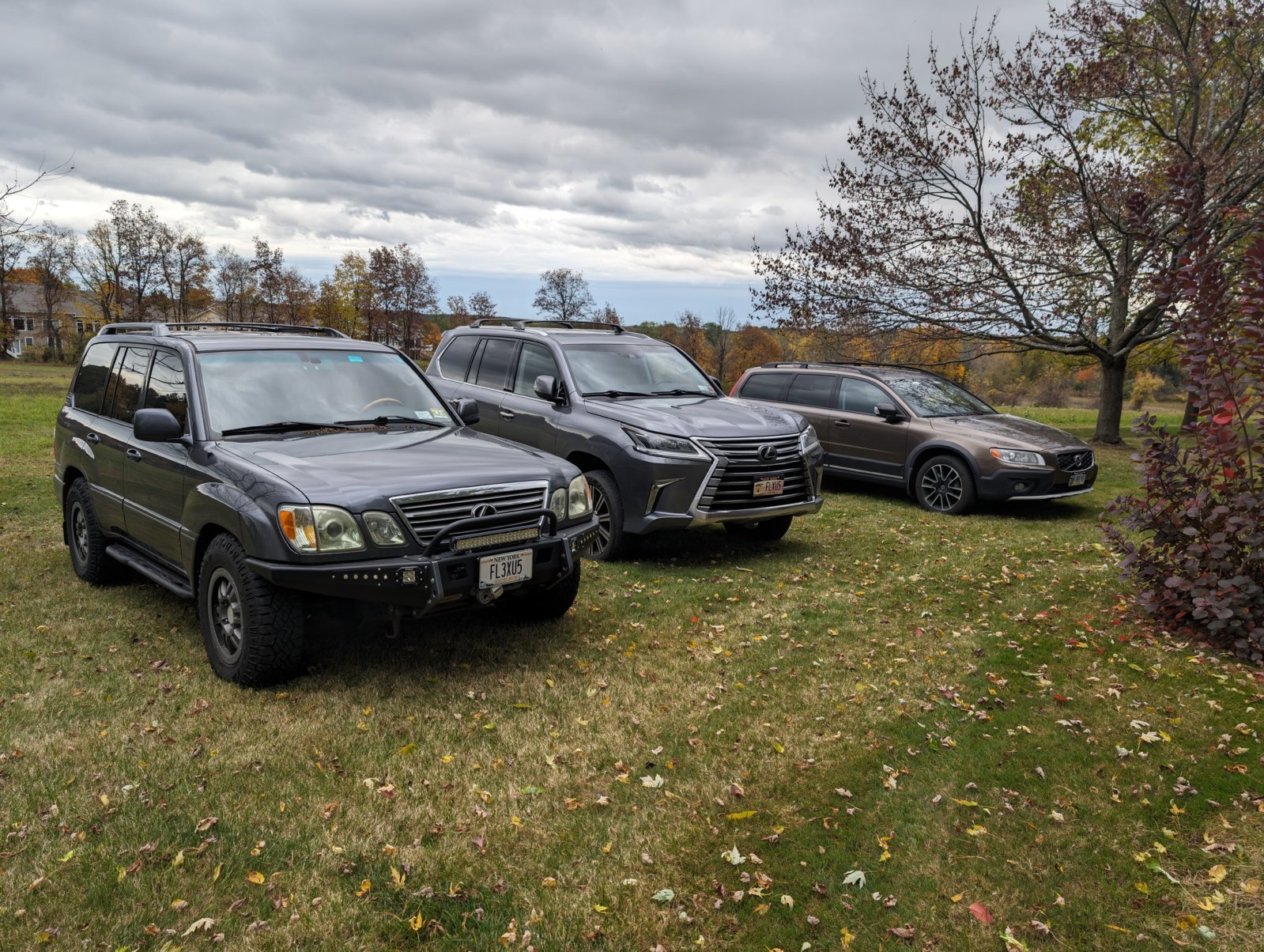 Car pictures.jpg