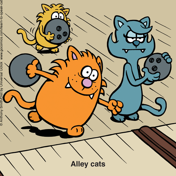 Cats Alley.gif