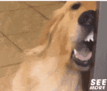 ccd1ce6d863dbed070402ff037bb63142ba0499d.gif