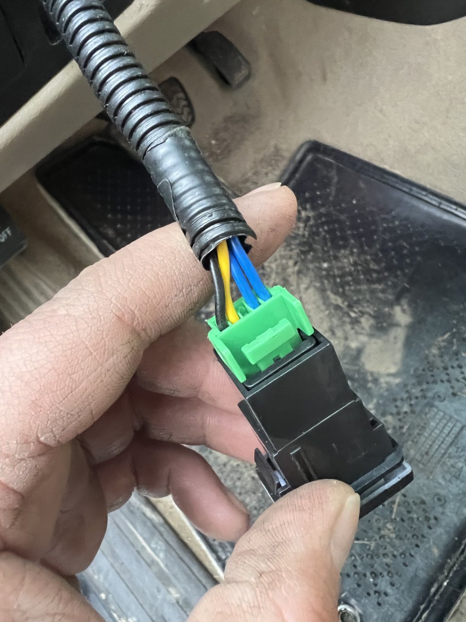 CD5FC1E2-89D1-44BB-86D6-60C0BA578A27.jpg