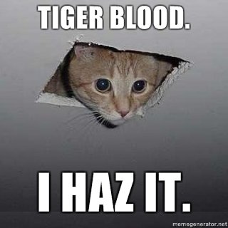 ceiling-cat-tiger-blood-i-haz-it.jpg