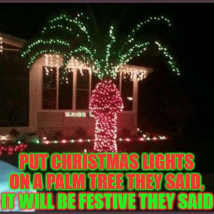 Christmas-Lights-Memes-5.jpg