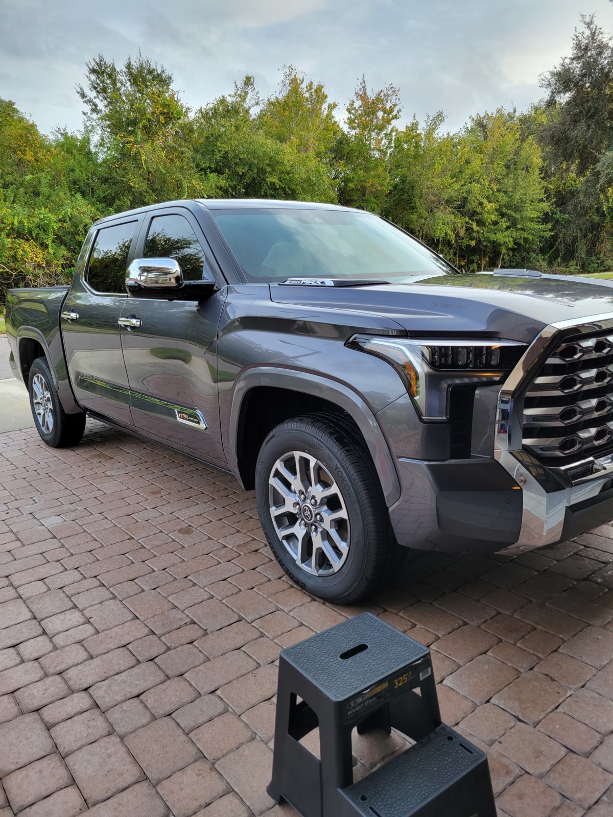 Chrome Mirror Covers and Chrome  Door Handles.jpg