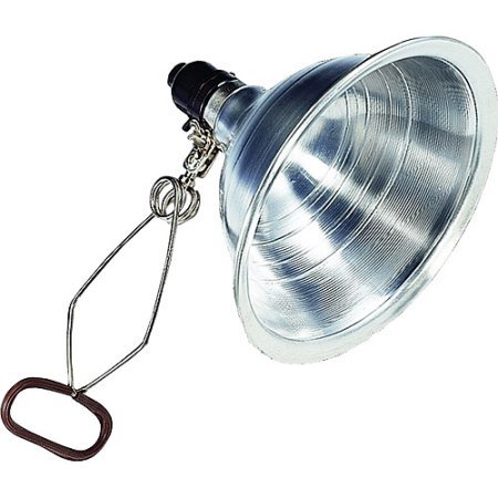 clamp light.jpg