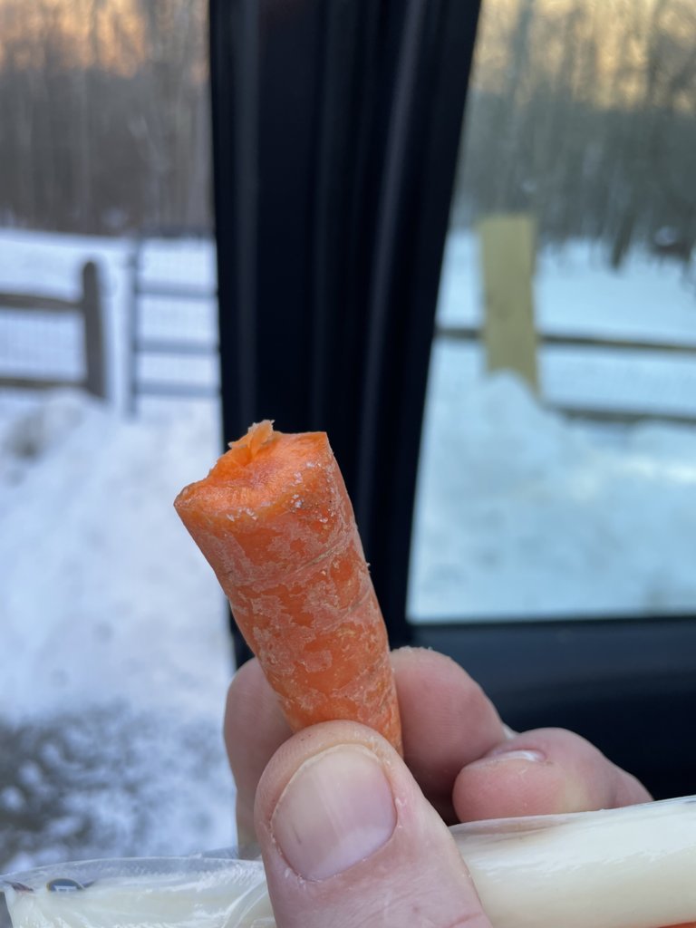 cleancarrot.jpg
