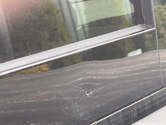 Close Up.jpg
