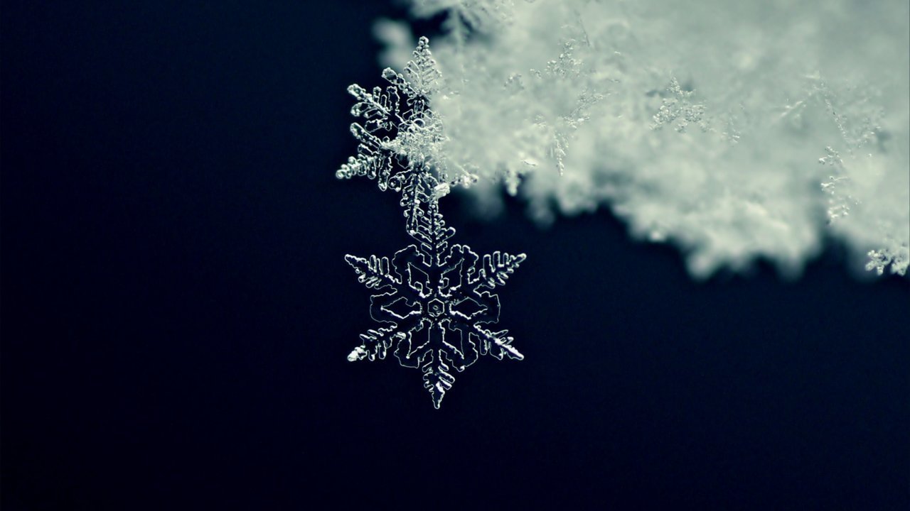 close-up-of-a-snowflake-519378367-5833b9005f9b58d5b1feede9.jpg