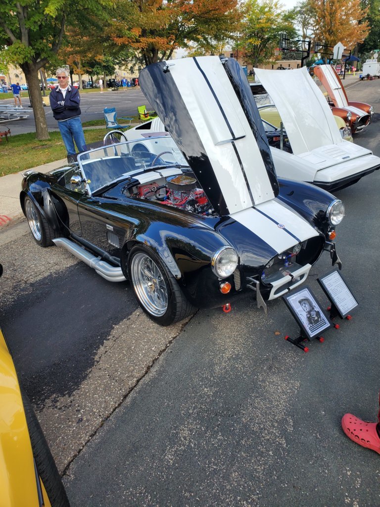 Cobra1.jpg