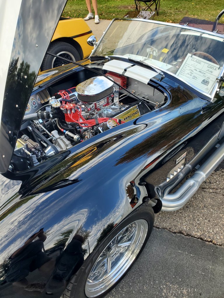 Cobra3.jpg