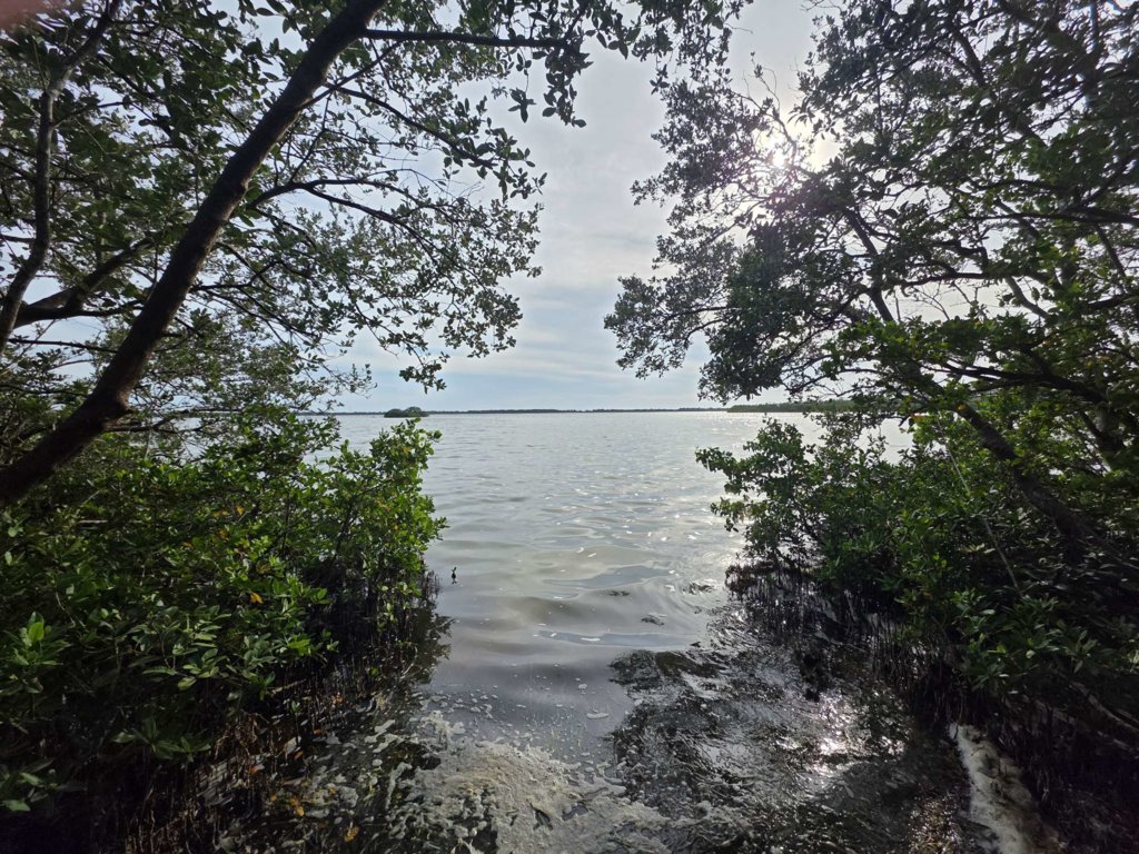 Compress_20250617_185331_1045.jpg