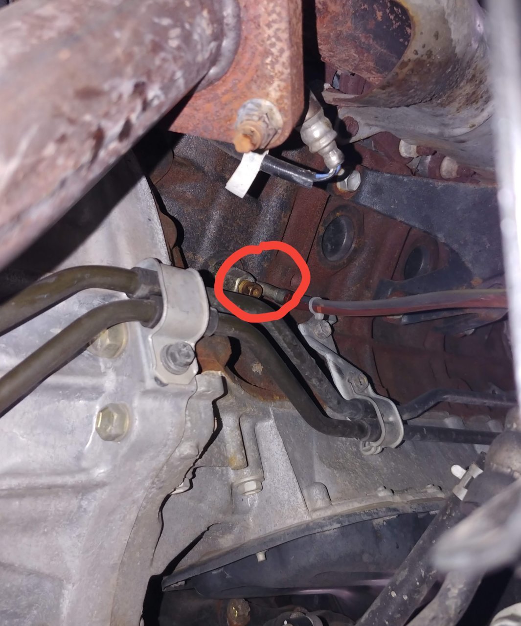 Where is the block coolant drain? | Toyota Tundra Forum