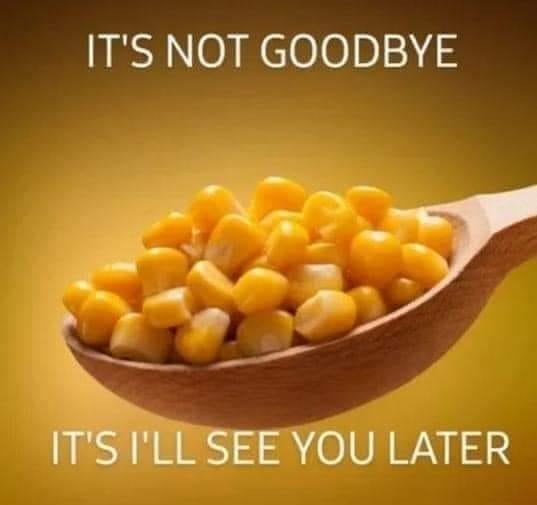 corn.jpg