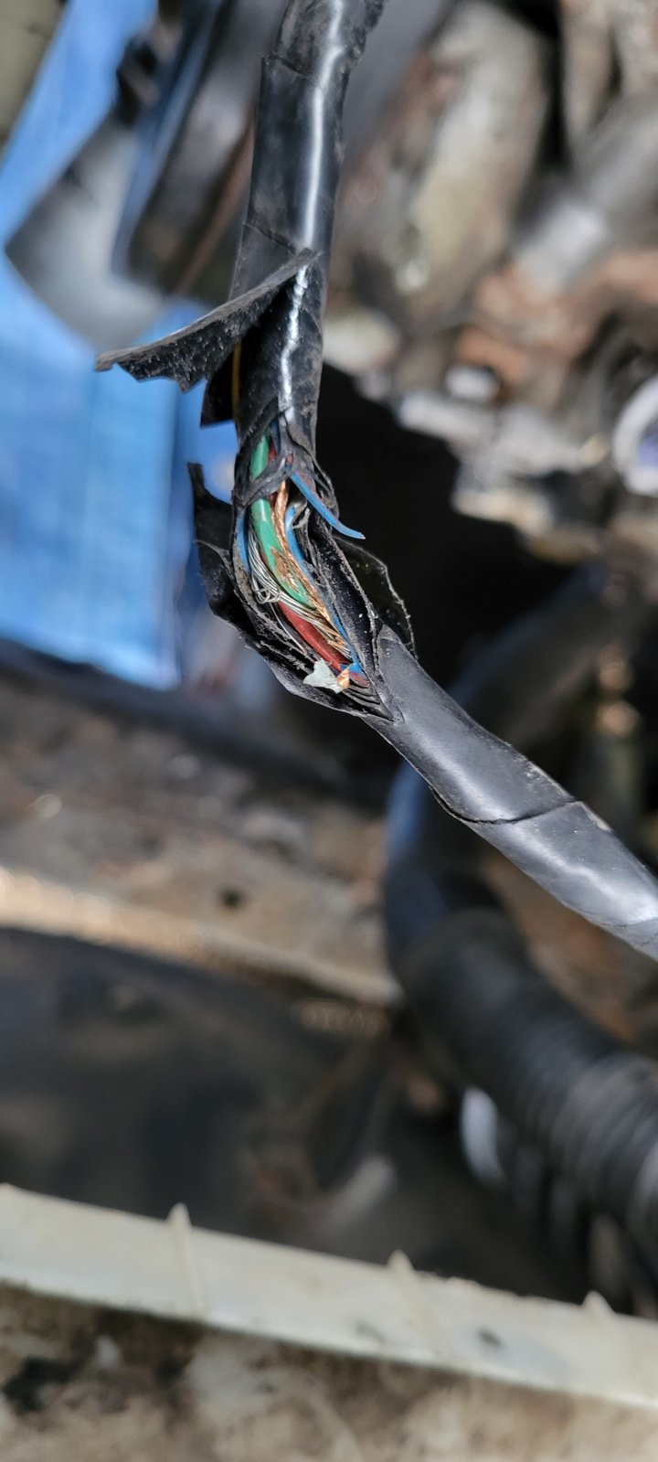 CrankPositionSensor Wire (1).jpg