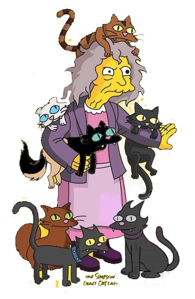 CrazyCatLady.jpg