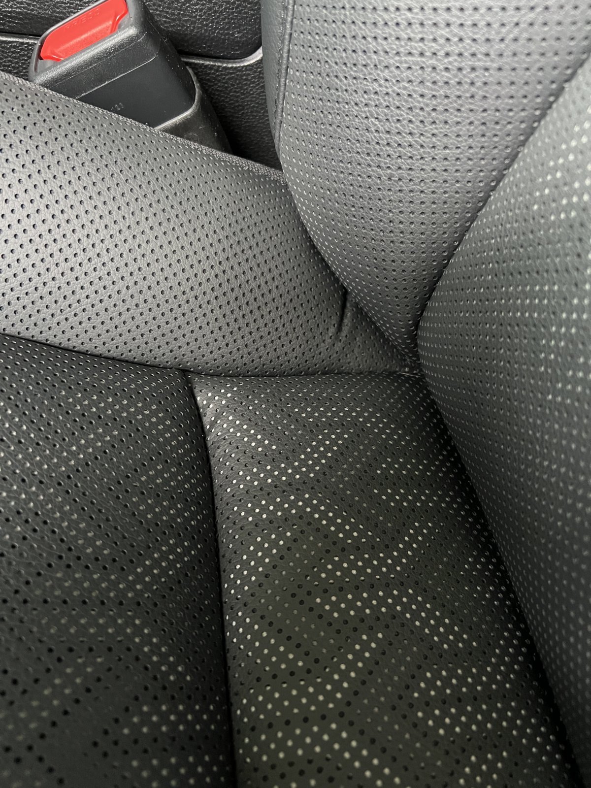 CREASE (driver's side).jpg
