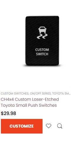 custom switch.jpg