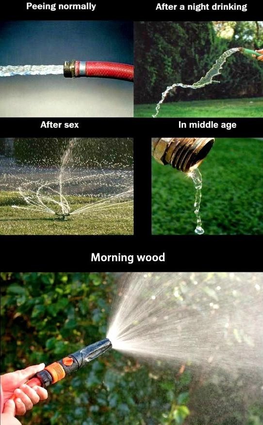 d3059be4f13037b0deba43d5c597a3c9--funny-men-funny-jokes.jpg