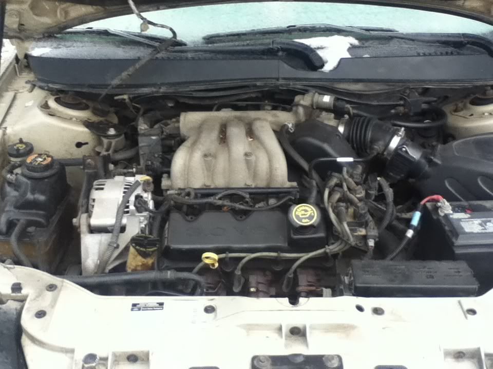 d87e05ea.jpg
