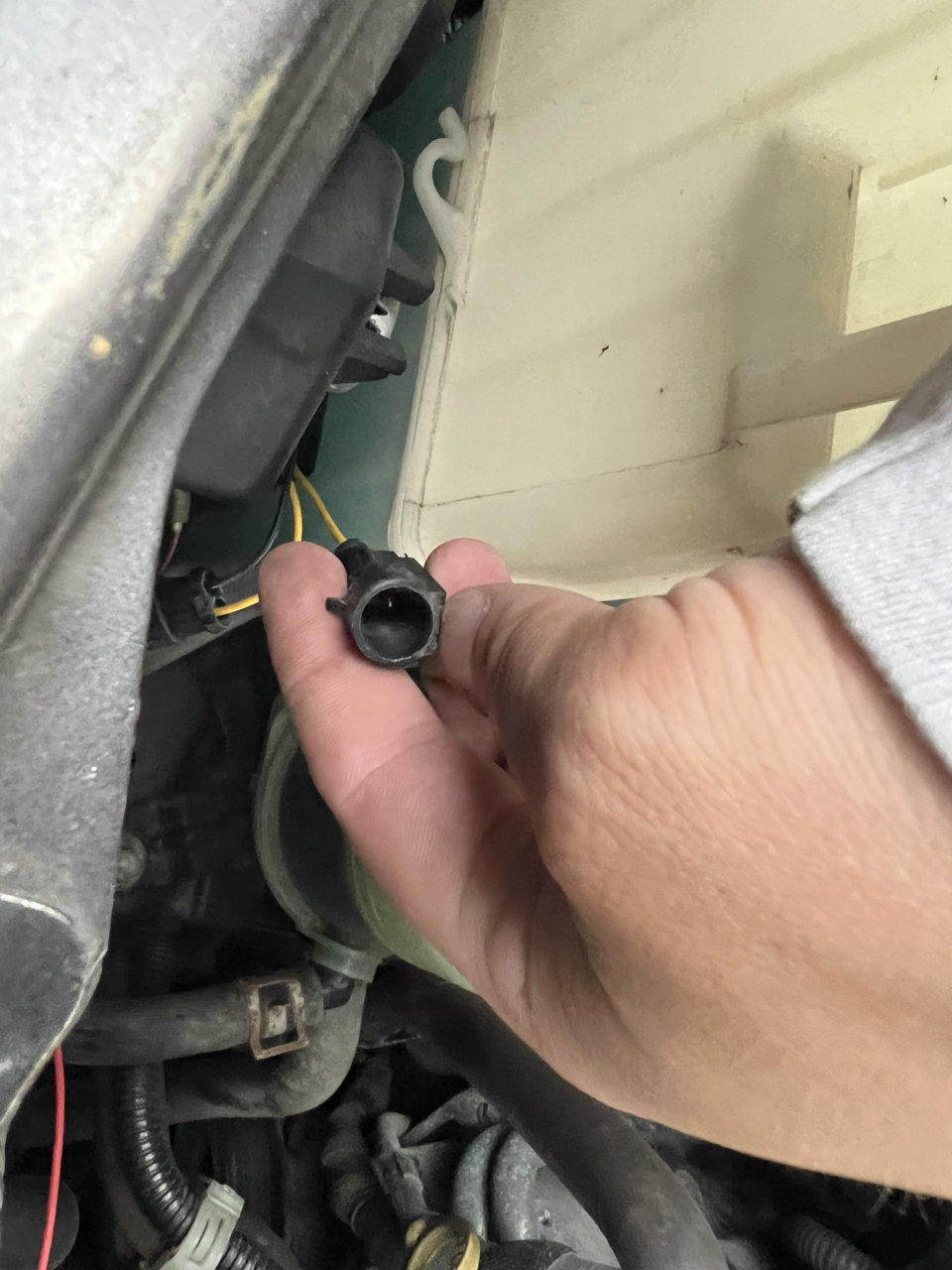 DA7CED8B-CF17-4414-AC76-8B9E41534C56.jpg