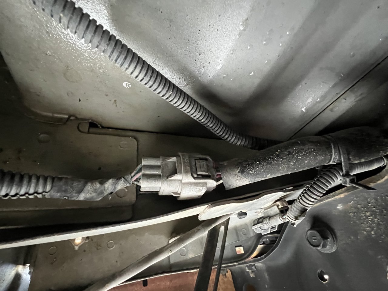 DAF43F1D-BF1F-401E-8216-D26472530E2F.jpg