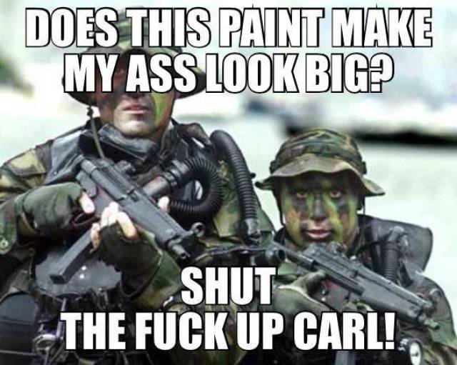 dammit_carl_memes_that_are_too_funny_not_to_share_640_01.jpg