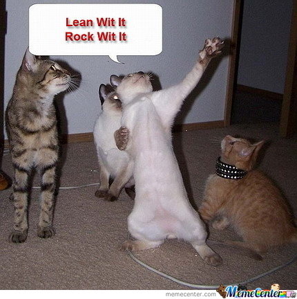 dancing-cat-can-dance_o_204159.jpg