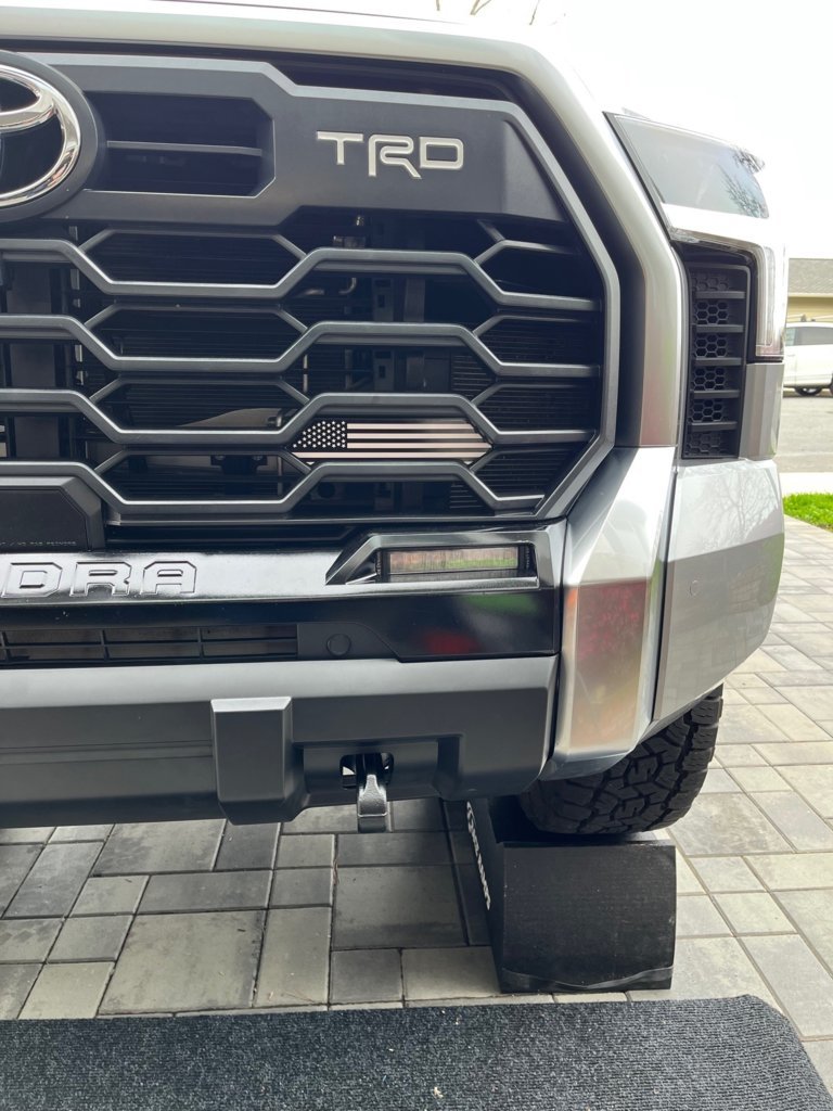 DD lights.jpg