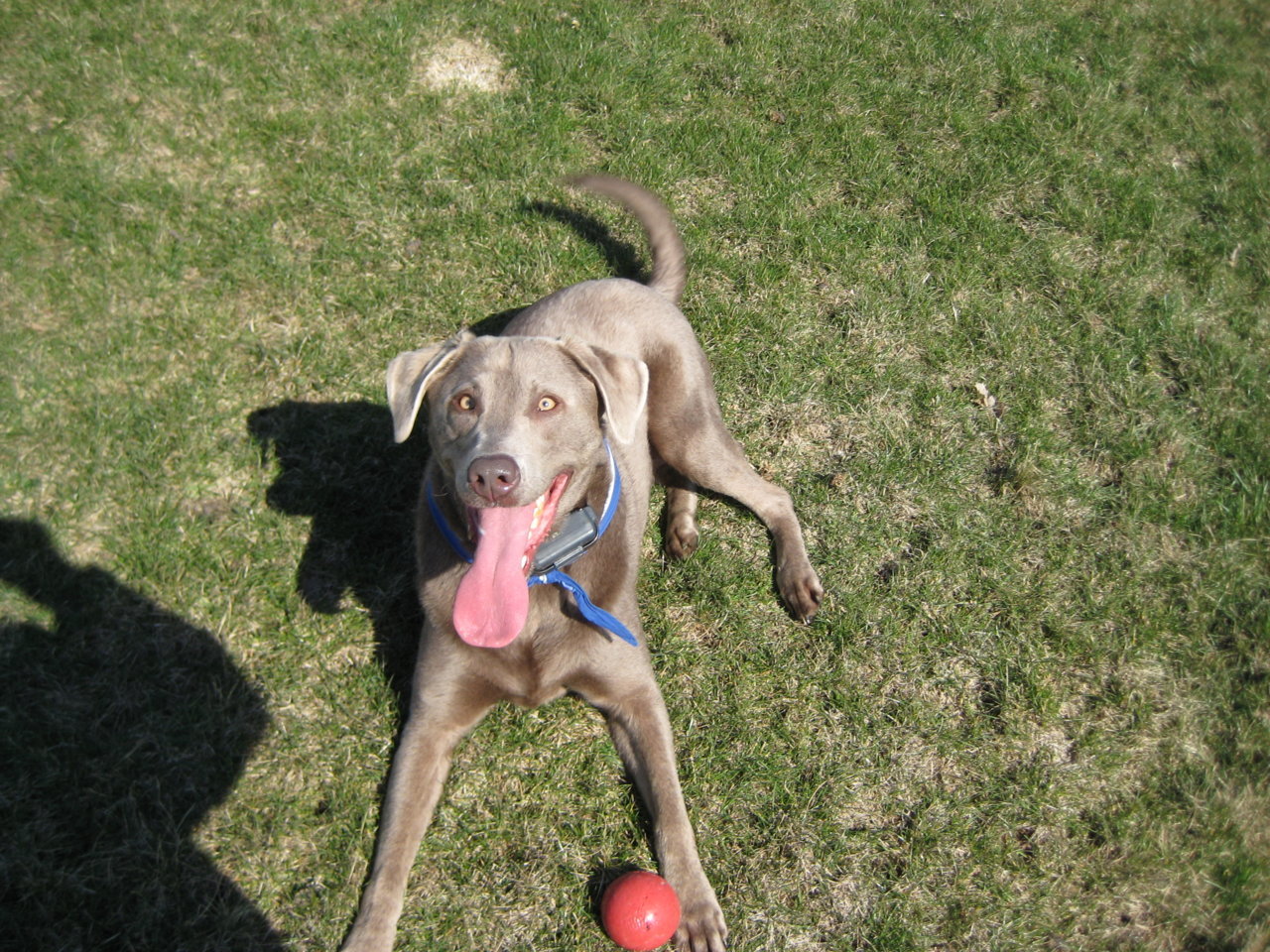 December 2008 025.jpg