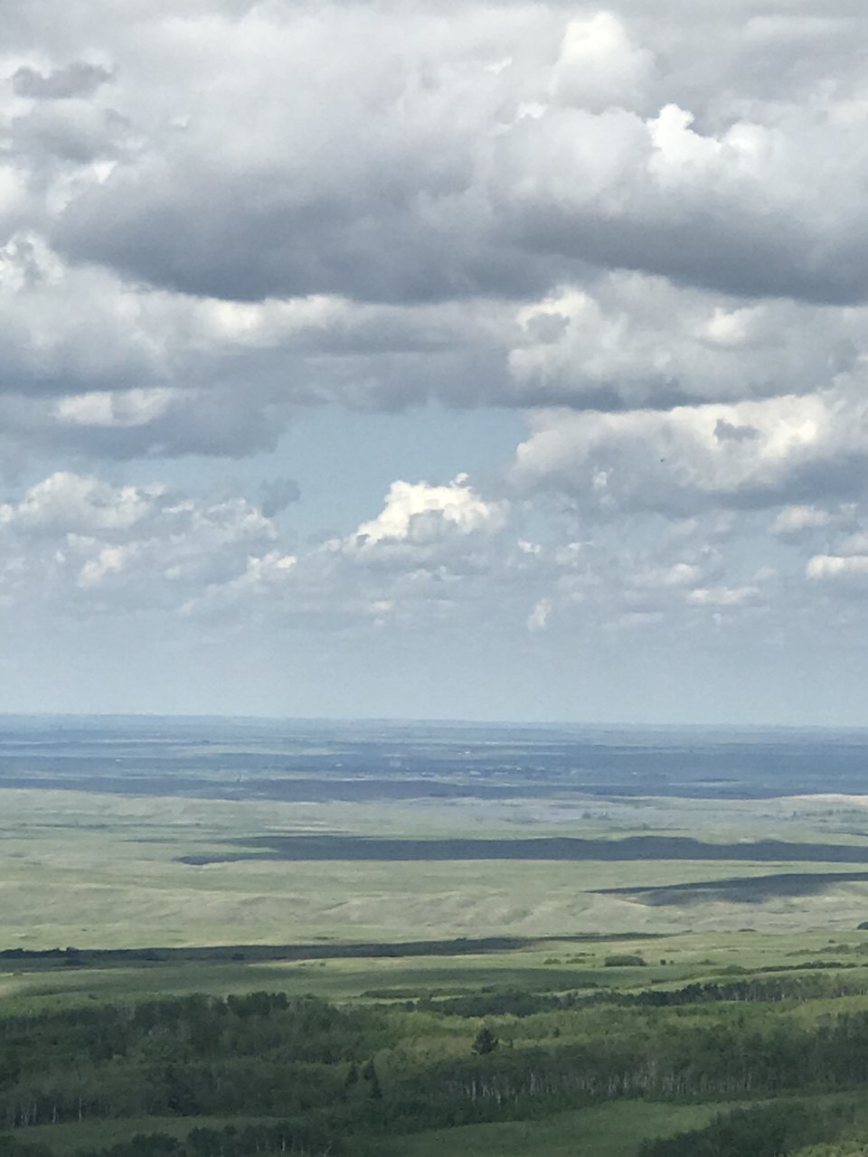 DF2F8BCC-6D17-495C-A3E1-3037A2A60F50.jpg