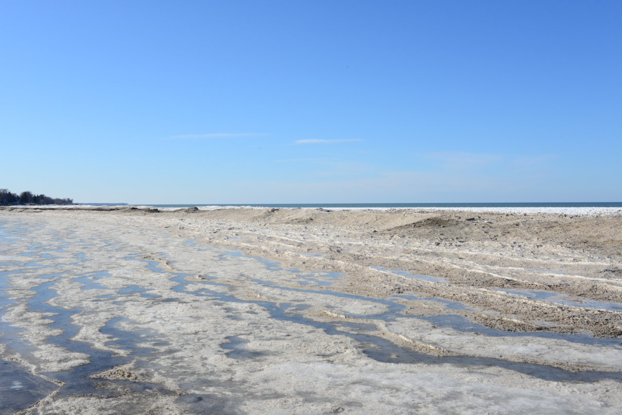 DFX_4417.jpg