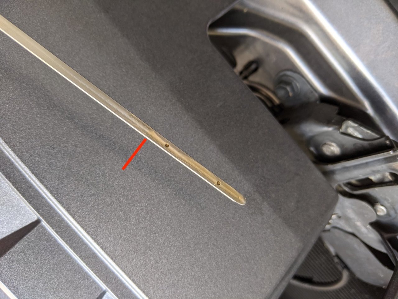 DipStick In.jpg