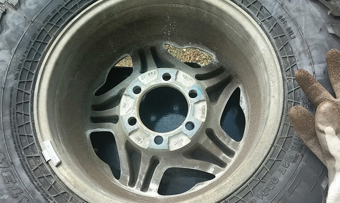 Dirty Dingus.jpg