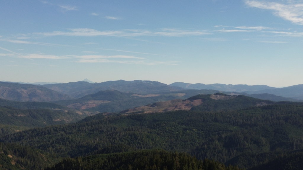 DJI_0048 (1).jpg
