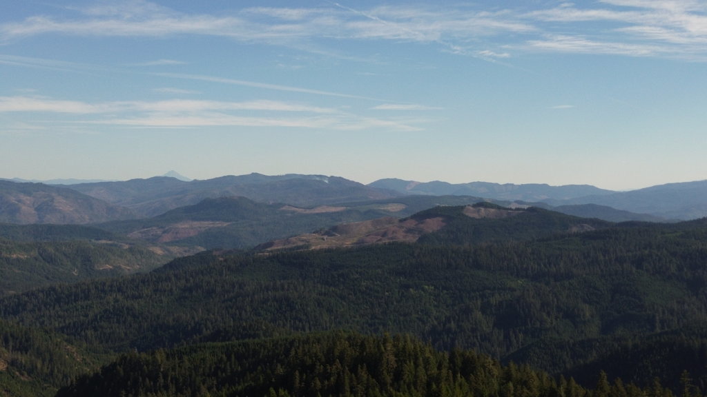 DJI_0050.jpg