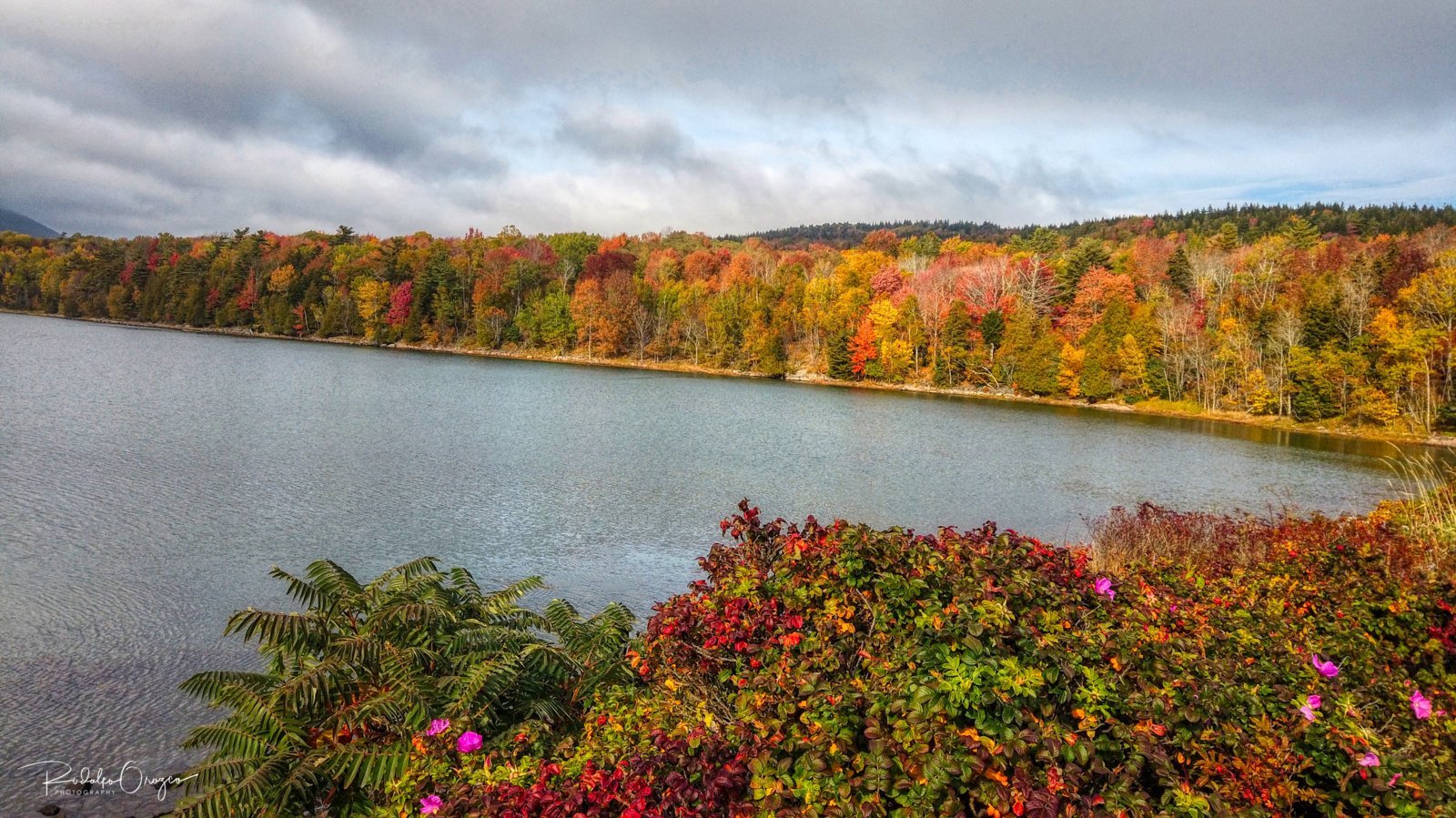 DJI_0655-1.jpg