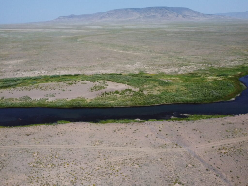 DJI_0703-1024x768.jpg