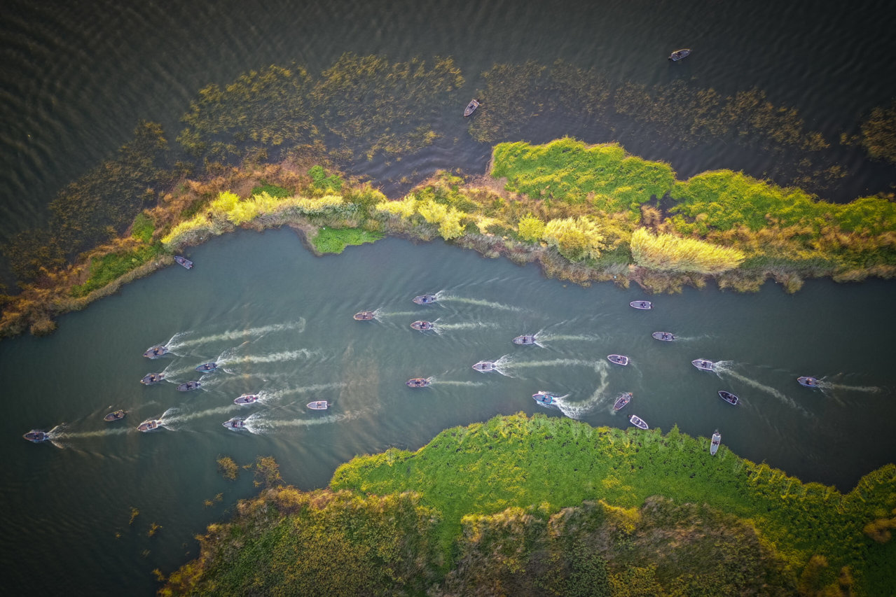 DJI_0834-scaled.jpg
