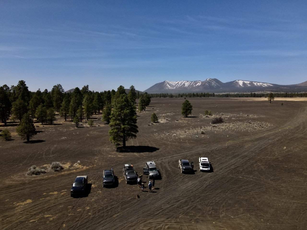 dji_fly_20230428_104832_36_1682704119581_photo.jpg