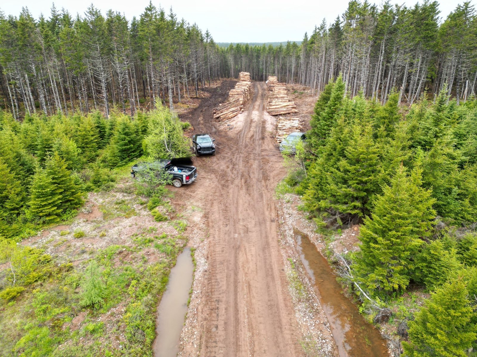 dji_fly_20240605_105744_35_1717506597146_photo.jpg