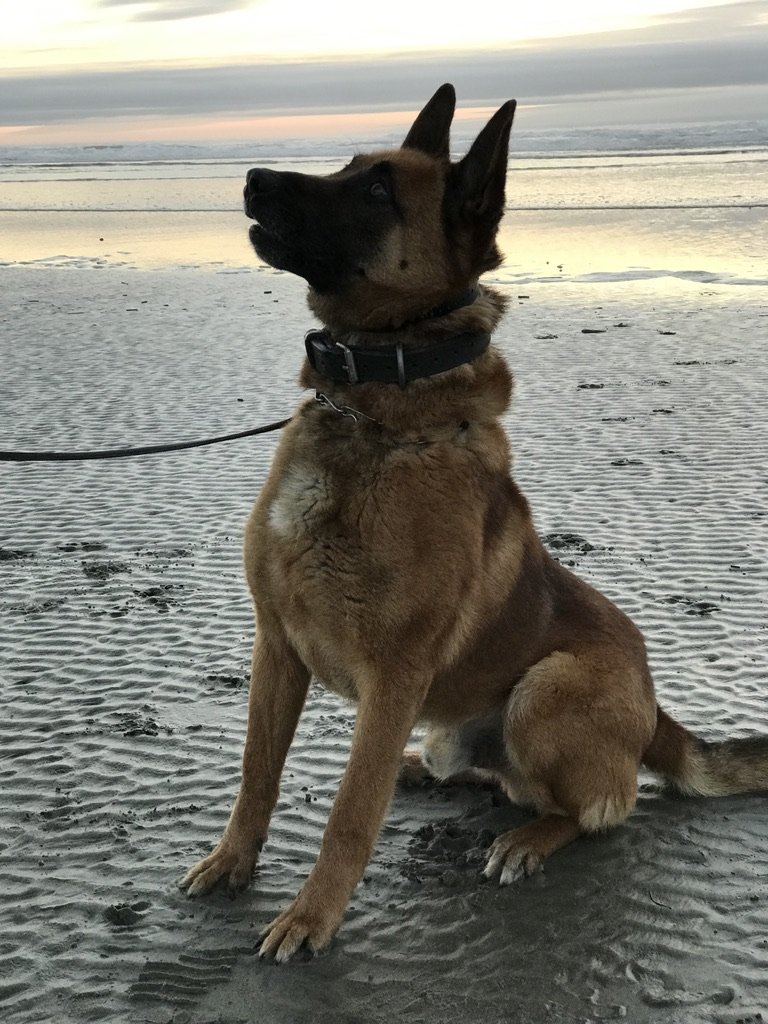 Doerak5years ago beach.jpg