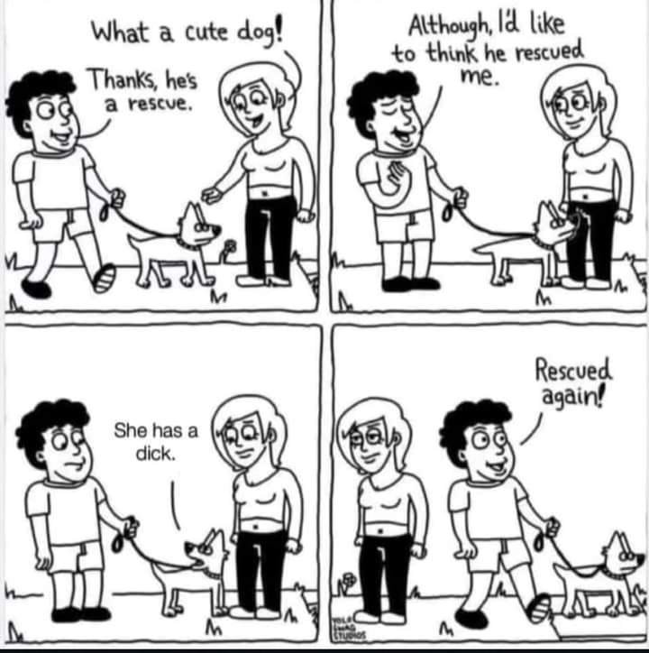dog dick.jpg