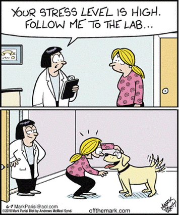 Dog Lab.gif